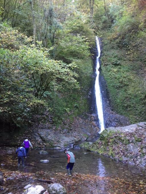 Apartment Tamar Valley, Cornwall Callington